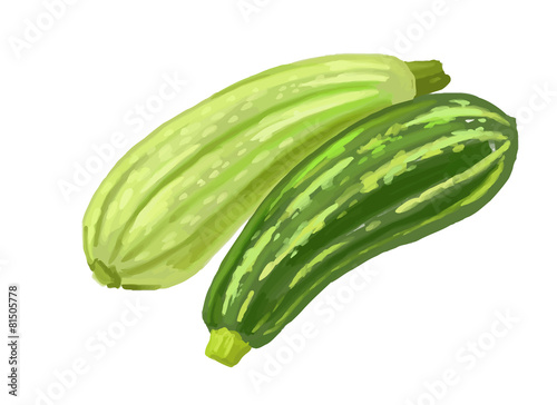 picture of two zucchini photo