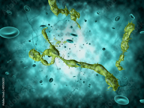 Medical illustration of the Ebola virus photo