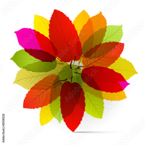 Vector Transparent Colorful Leaves