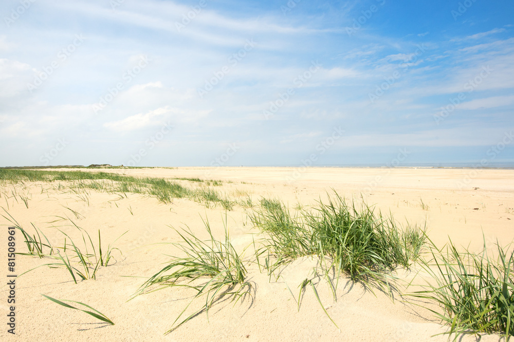 Fototapeta premium Beach North sea