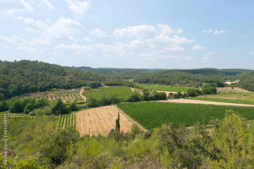 Landscape with vineyards in France Landscape with vineyards in France