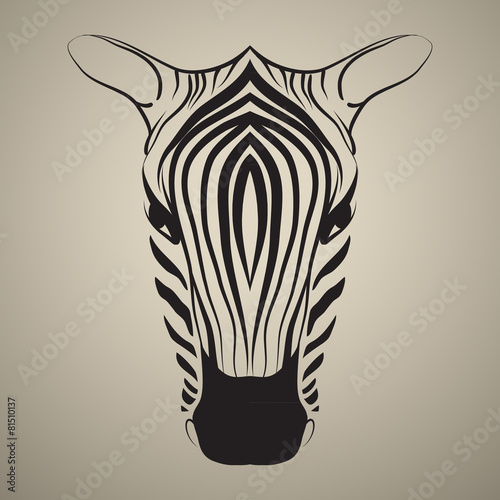 Zebra vector