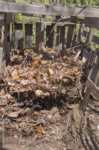 Compost In Various Stages of Decomposition