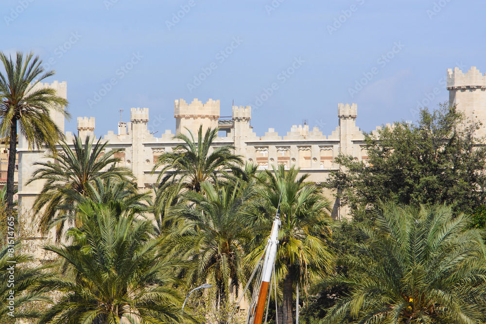 palma de mallorca