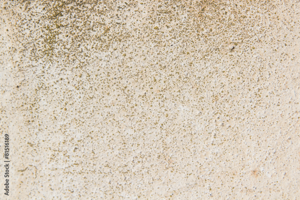 Old grunge wall texture