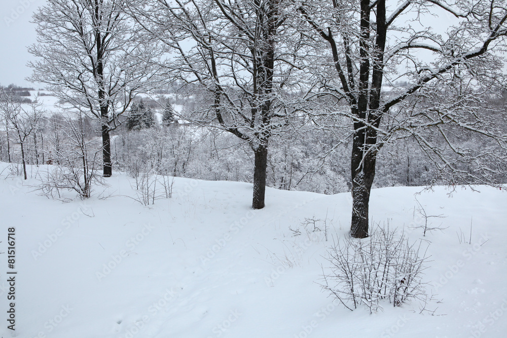 Russian winter.