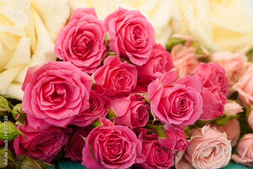 Background of pink and white roses.Selrctive focus