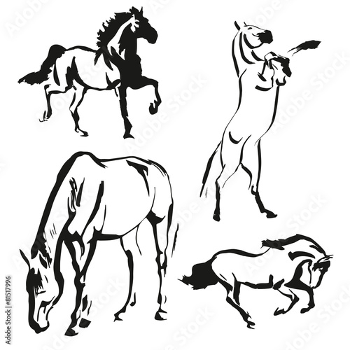 Horses