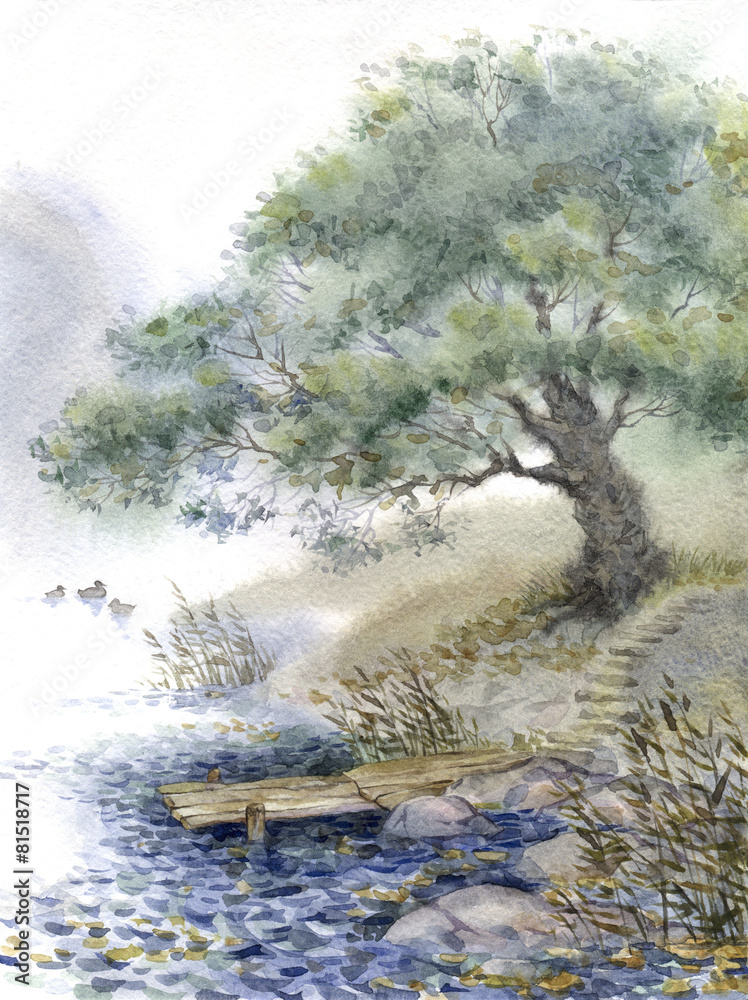 Fototapeta premium Watercolor landscape. An old tree near the pond