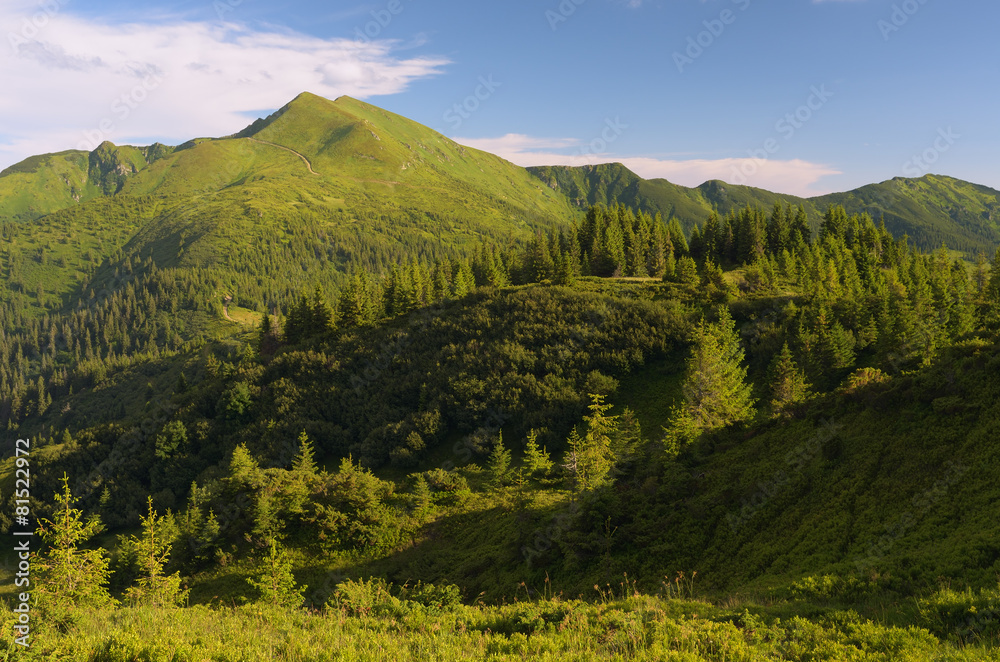 Obraz premium Summer landscape in the mountains