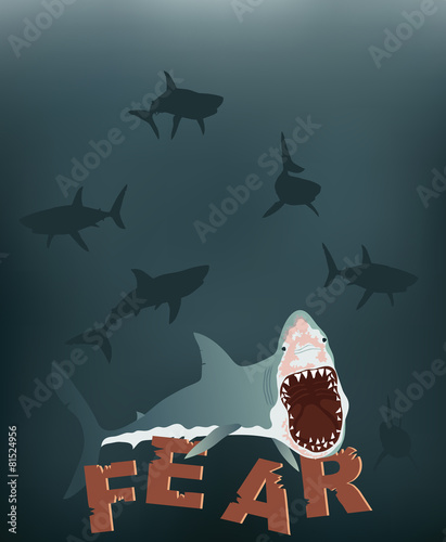 Shark Facing Ready To Attack