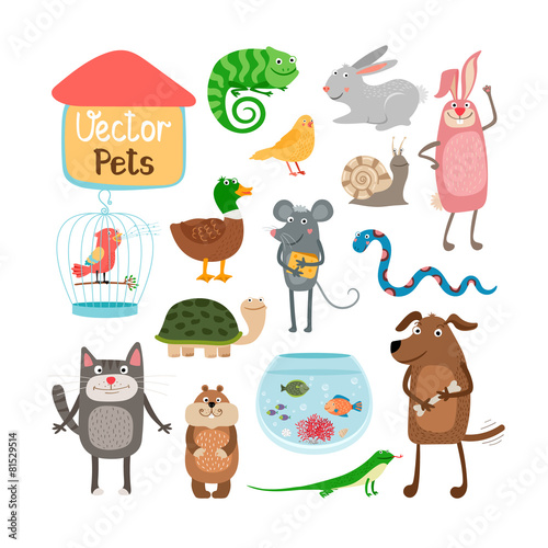 Vector pets