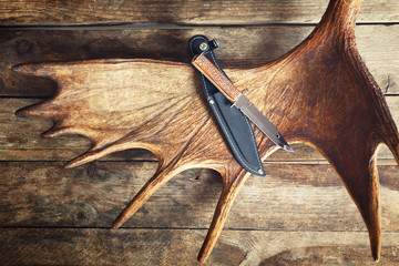 Papier peint photo Chasser Bois d'orignal et couteaux de chasse  © Africa Studio