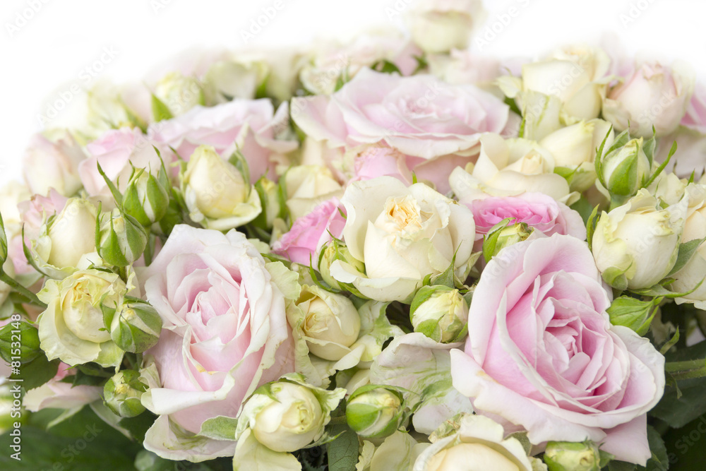 Bouquet of red roses, background Bouquet of red roses, background