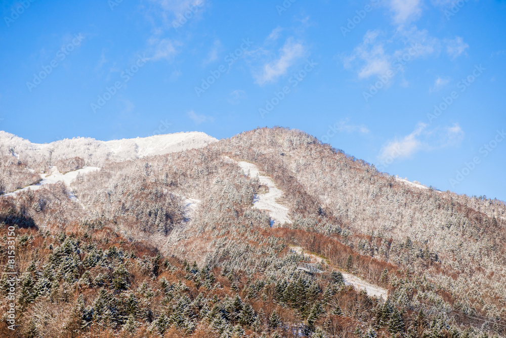 Beautiful landscape of winter season