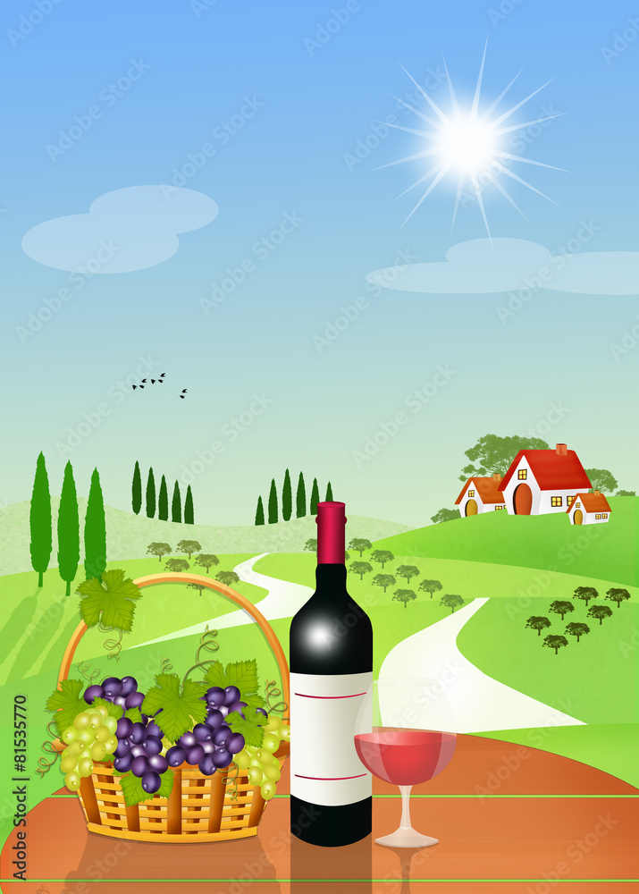 vineyards of black grapes