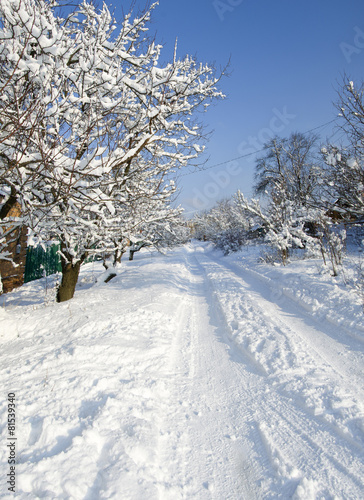 Зимняя дорога в деревне