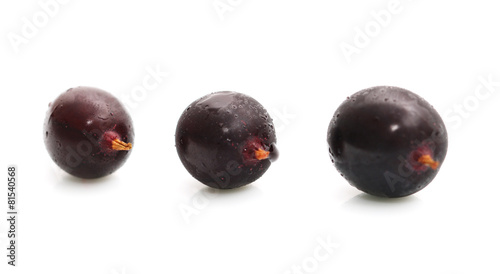 juicy black currant on a white background