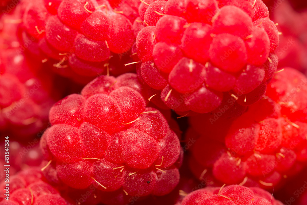 ripe raspberry as a background ripe raspberry as a background