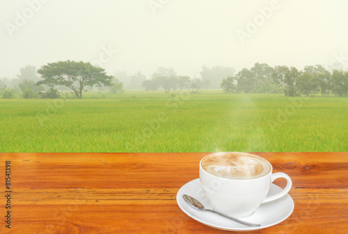 Coffee and Rice field.
