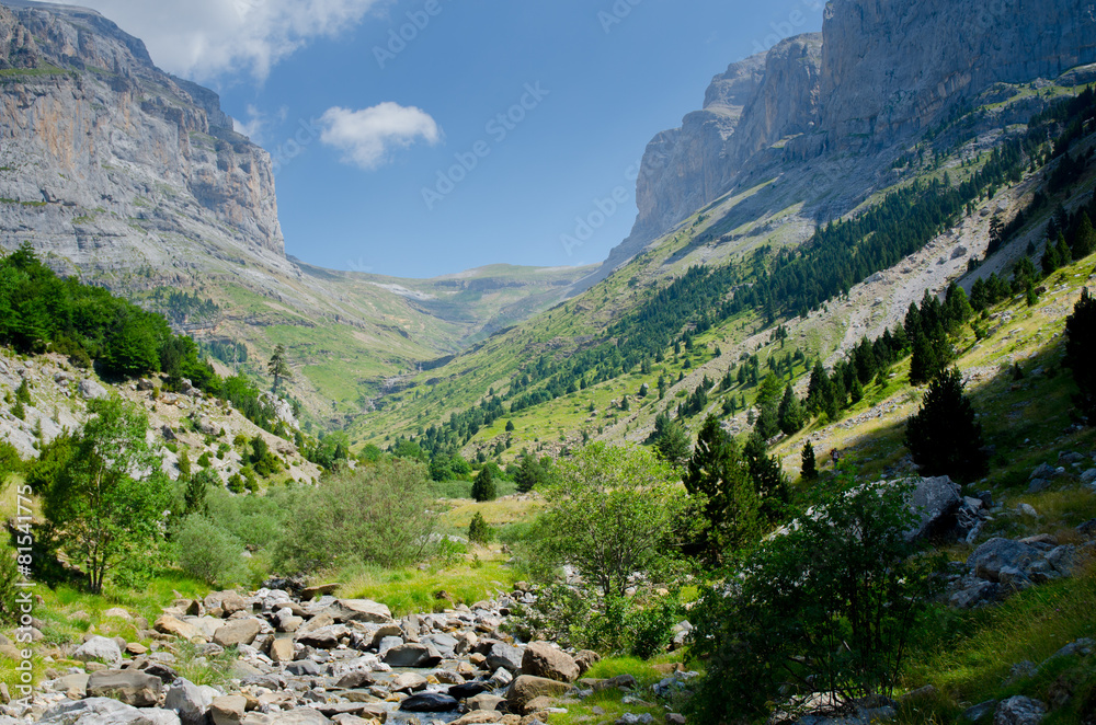 Naklejka premium Valley near Ordesa y Monte Perdido National Park, Spain