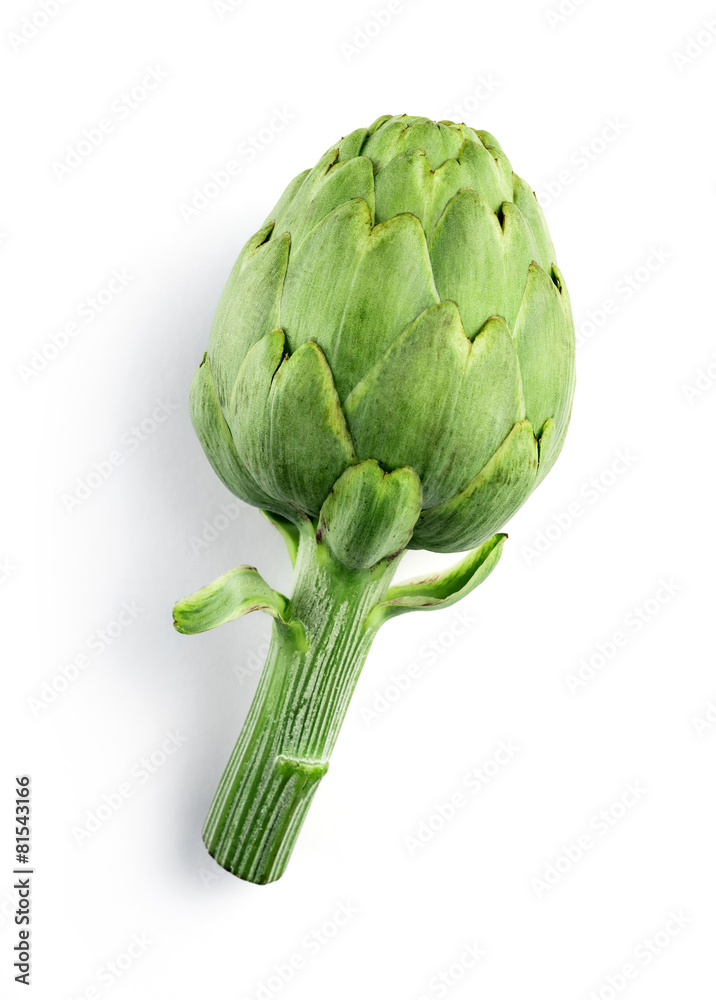 Obraz premium artichoke