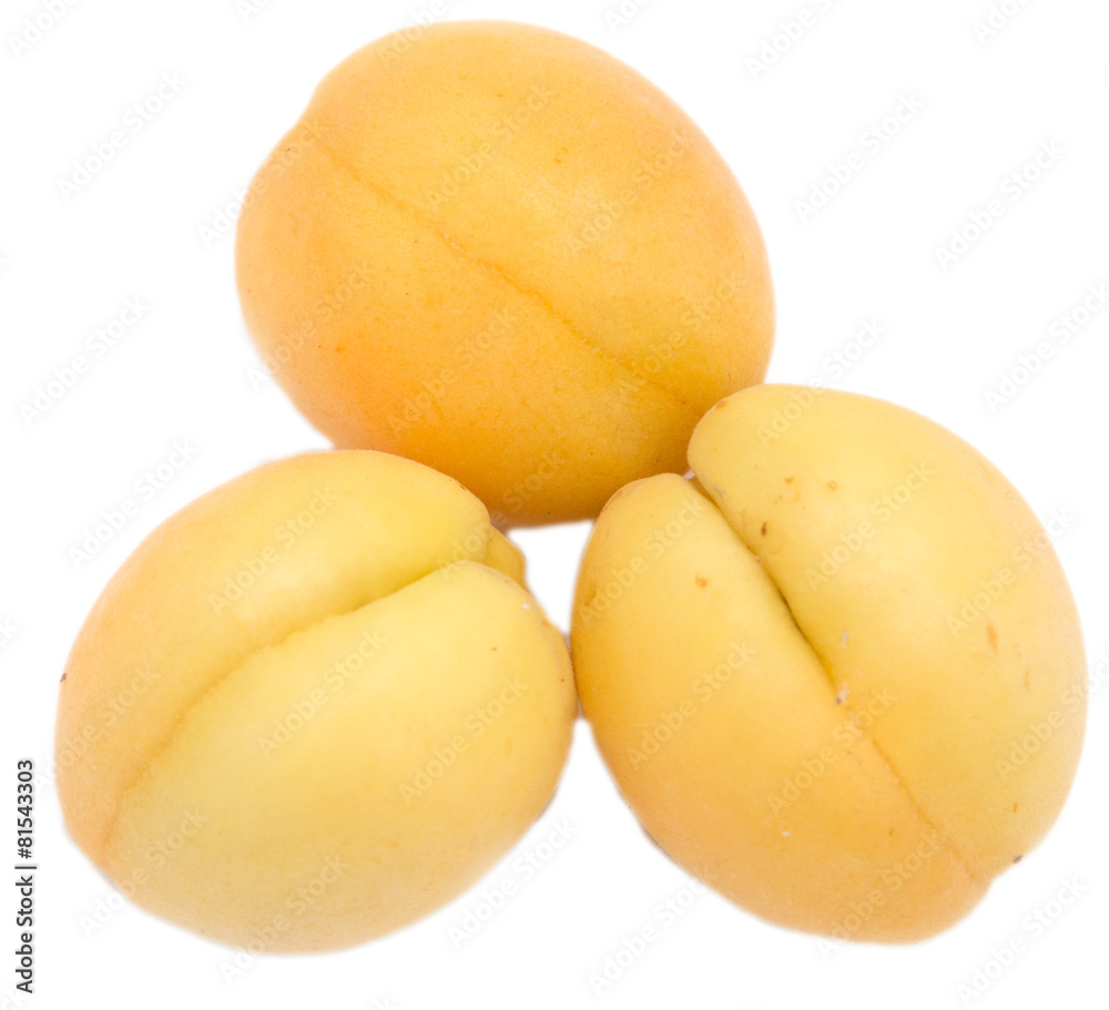 ripe apricot