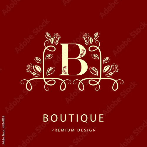 Monogram design elements, graceful template.