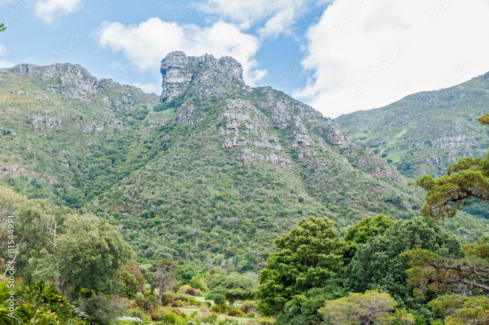 Castle Rocks on Table Mountain Castle Rocks on Table Mountain