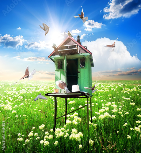Doves over dovecote