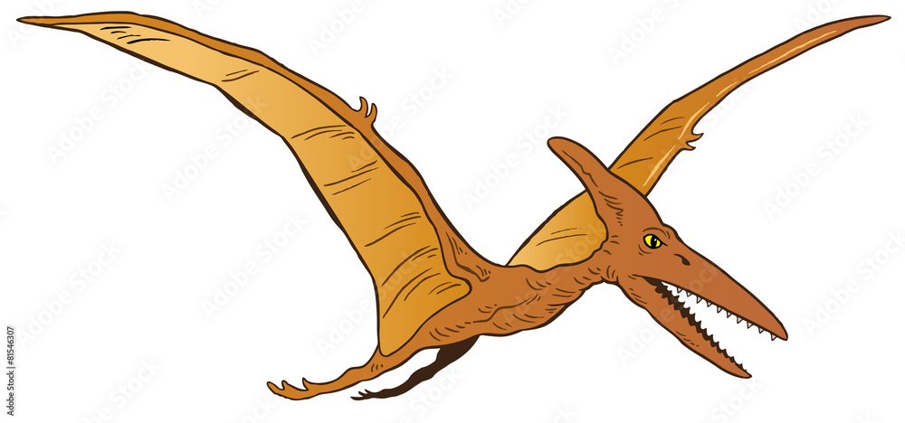 Pterodactyl Stock Illustrations – 5,741 Pterodactyl Stock Illustrations,  Vectors & Clipart - Dreamstime