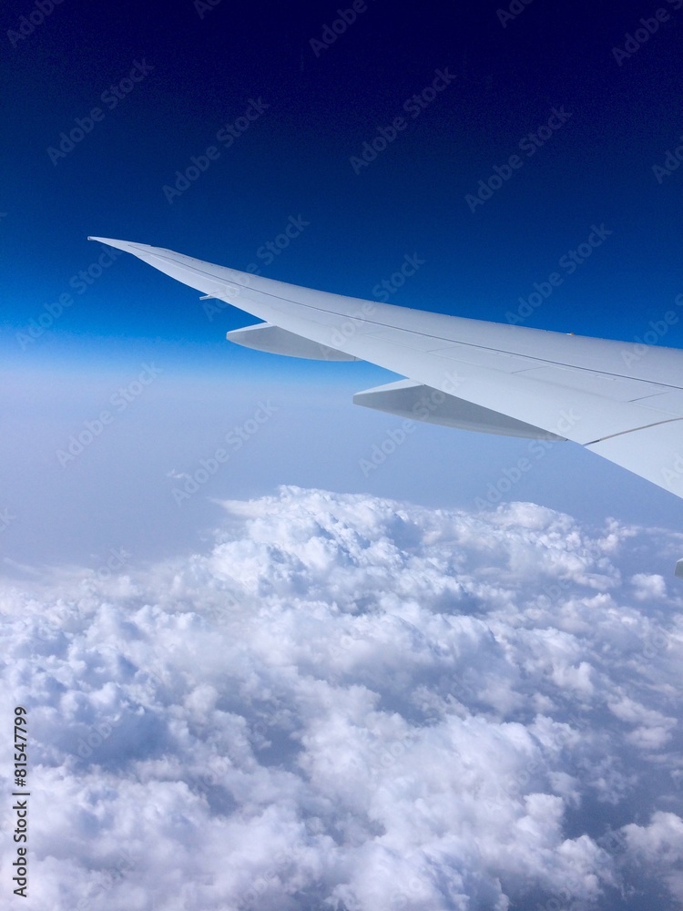 Obraz premium Flugzeug