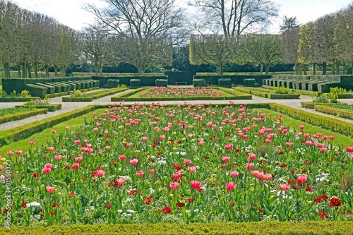 parterre de tulipes au printemps