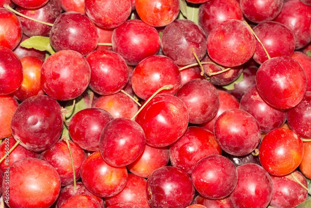cherry plum fruit as background