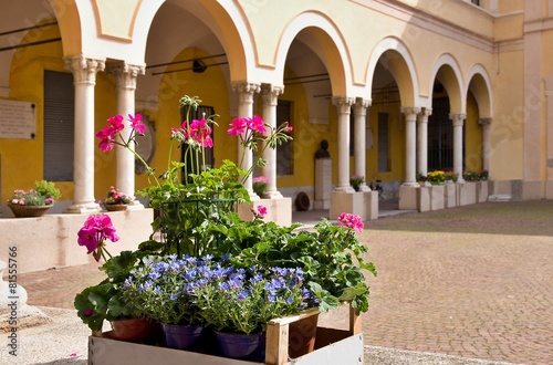 Fototapeta Naklejka Na Ścianę i Meble -  Cassetta di fiori