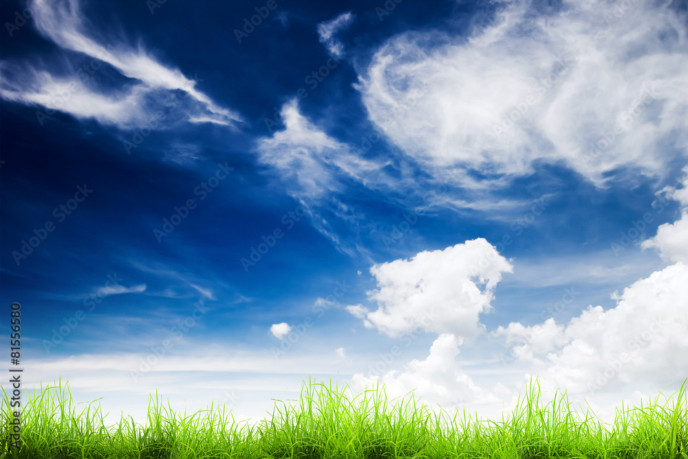 sky sky