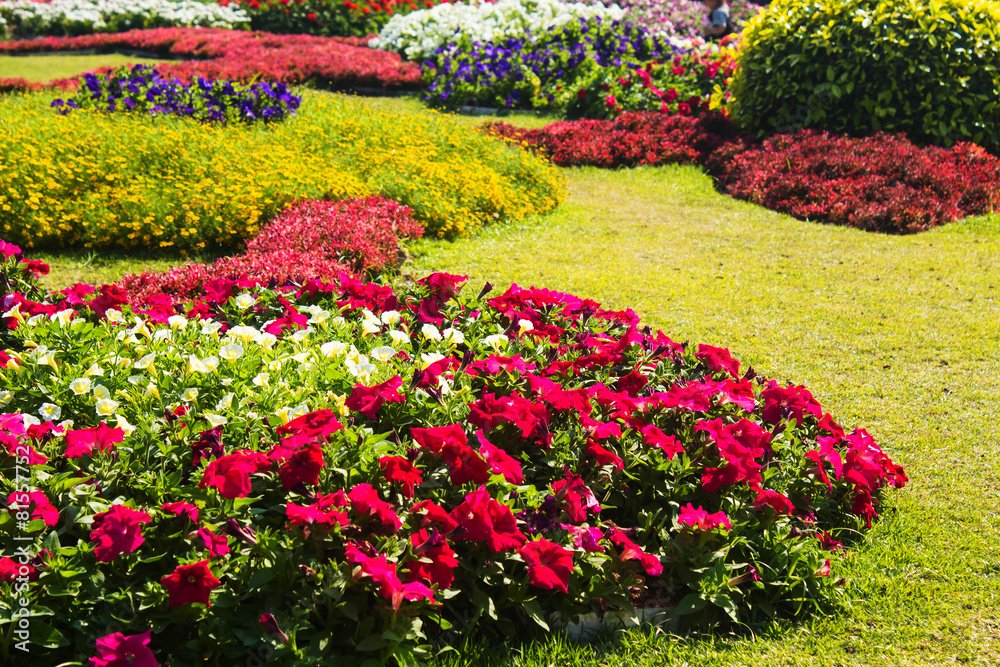Beautiful garden design. Beautiful garden design.