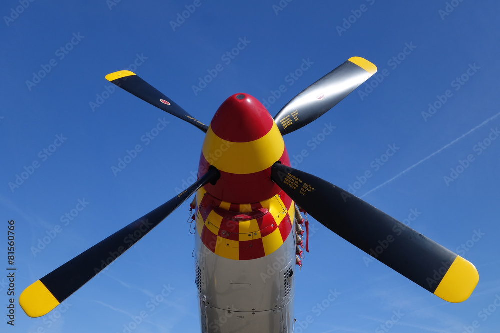 Obraz premium hélices avion de collection 1