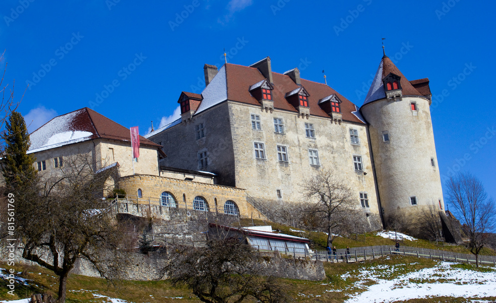 Chateau de Gruyerey