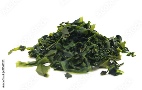 seaweed wakame ( lat. Undaria pinnatifida)