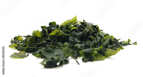 Seaweed wakame ( lat. Undaria pinnatifida)