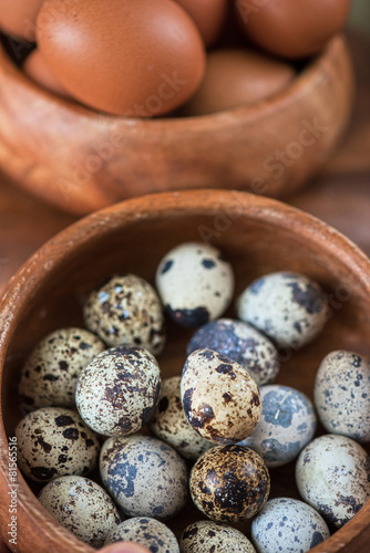 Fresh eggs