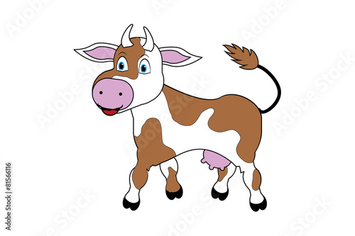 Cute cow