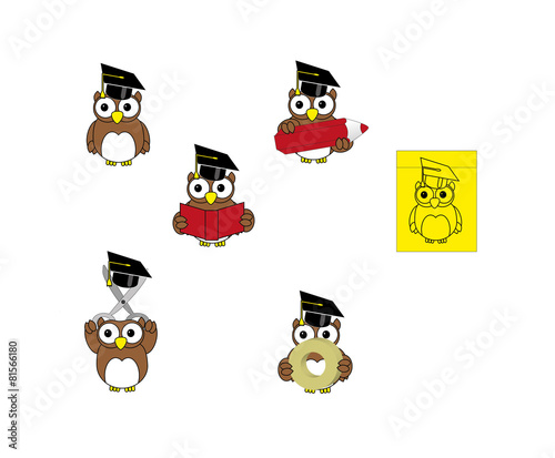 Owls