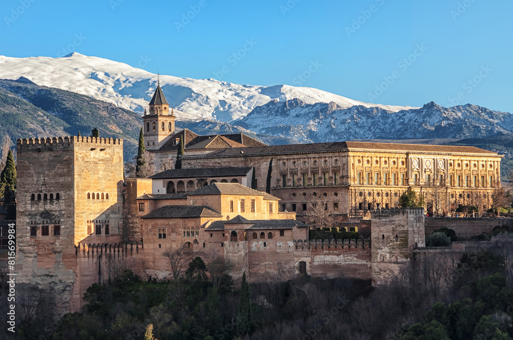 Aerial view of Alhambra Palace in Granada