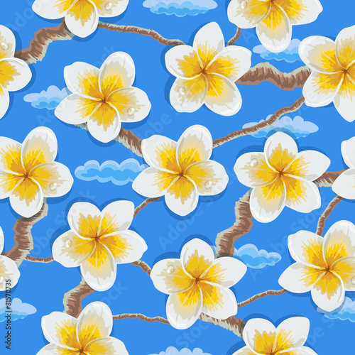 Tropical flowers plumeria pattern