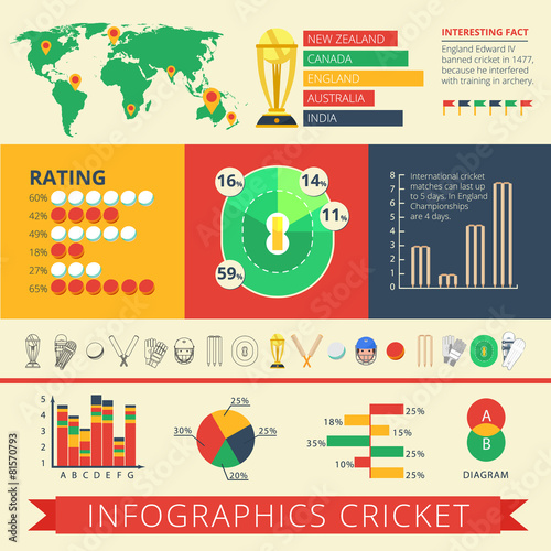 Infographics report cricket poster photo