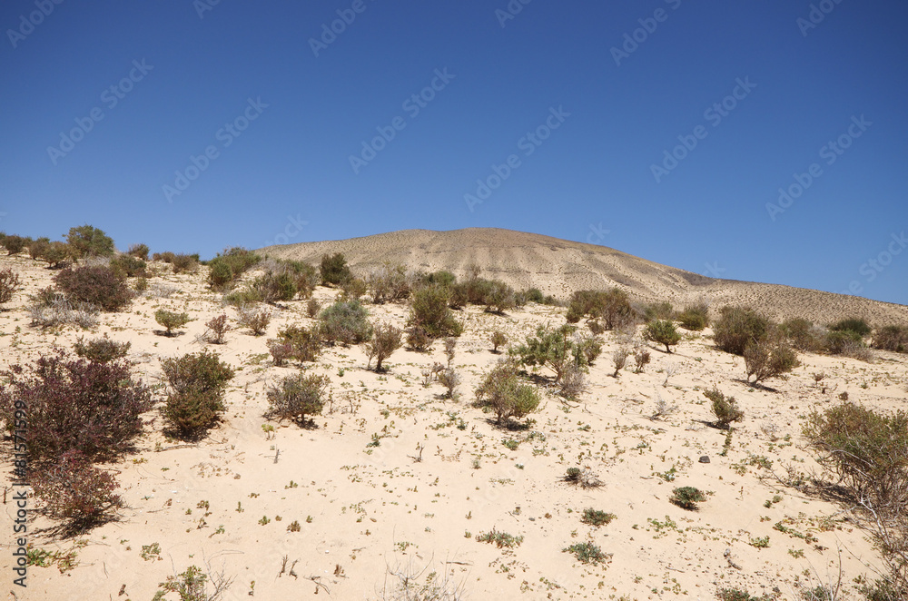 Sand dunes and mountains near Sotavento beach on Jandia peninsul