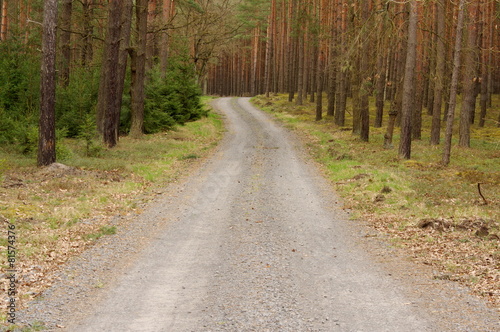 Leśna droga. © boguslavus