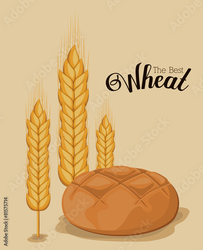 Bakery design